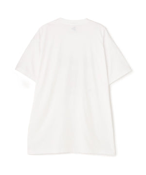 cf043830-1068-5ed3-9f83-680679e2b9f5_Image