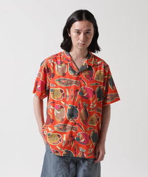 ba0002c9-ae42-53f5-a2ae-a729ed253cac_Image