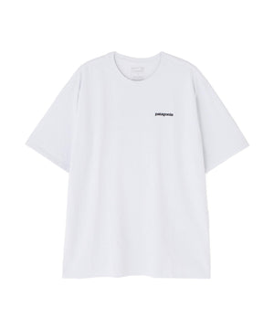 77aceb9f-c90f-5b10-ad2d-3a579265737f_Image