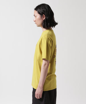 228d152c-4387-5c0c-a379-d740165aaad2_Image