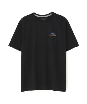 81bf9330-fde5-5fdc-afdc-483446d05d5a_Image