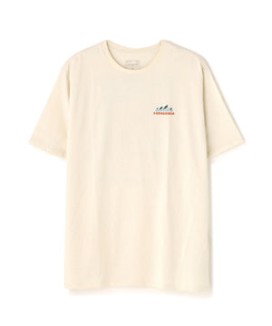 a62b7c7b-010f-53f5-b72f-d1fe2ed6c5ea_Image