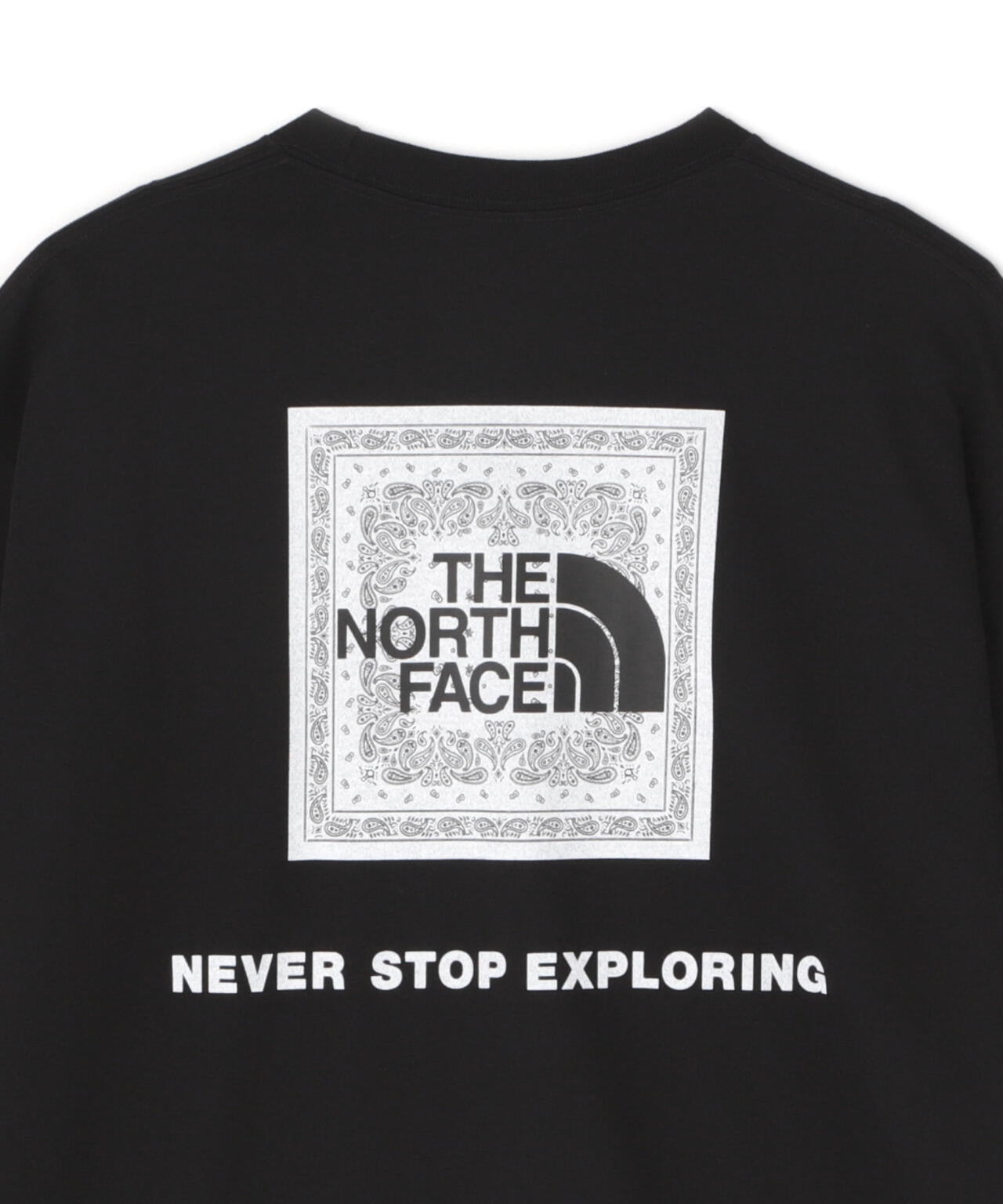THE NORTH FACE S/S Bandana Square Logo Tee | BEAVER