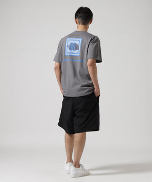 f2e7a17f-aff2-5a07-a7ab-ae8b9d6523e7_Image