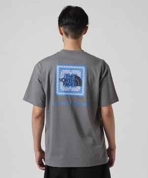 919731c4-e6a1-5dee-a6cf-73135a37b8ab_Image