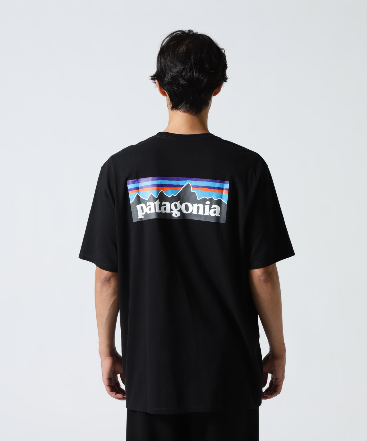 Patagonia/パタゴニア　メンズ・P-6ロゴ・レスポンシビリティー