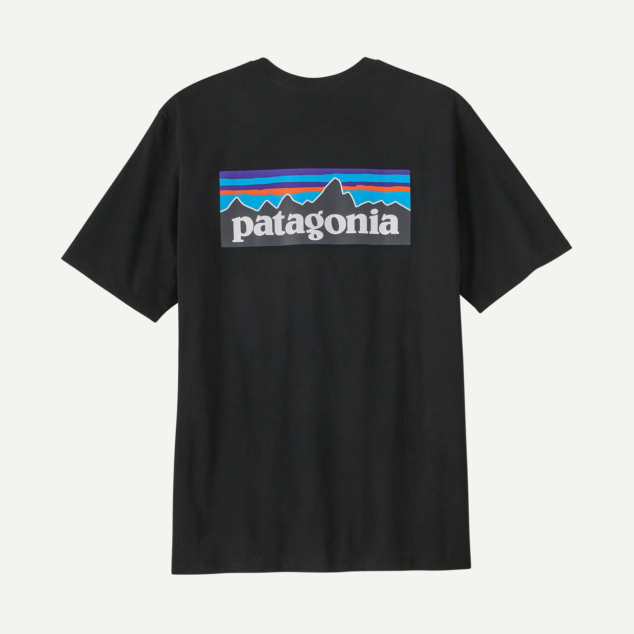 Patagonia/パタゴニア　メンズ・P-6ロゴ・レスポンシビリティー