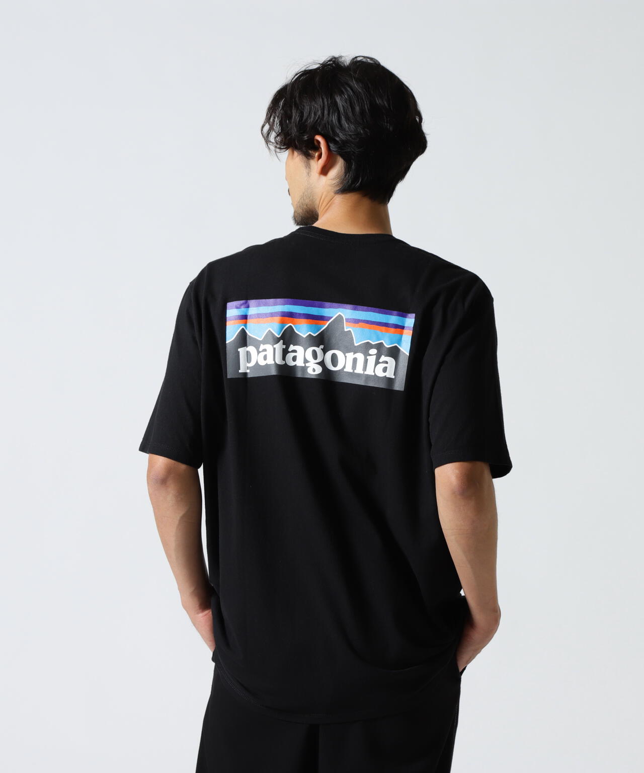 Patagonia/パタゴニア　メンズ・P-6ロゴ・レスポンシビリティー