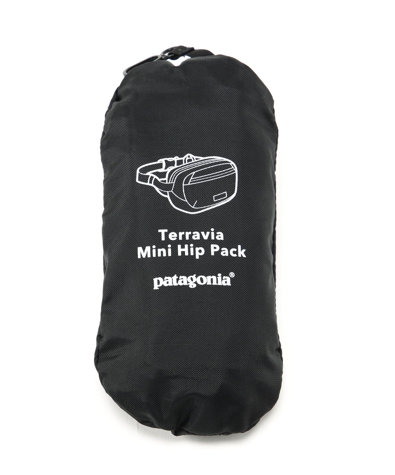 【美品】patagonia バッグ　パタゴニア Patagonia/パタゴニア テラヴィア・ミニ・ヒップ・パック 1L | BEAVER