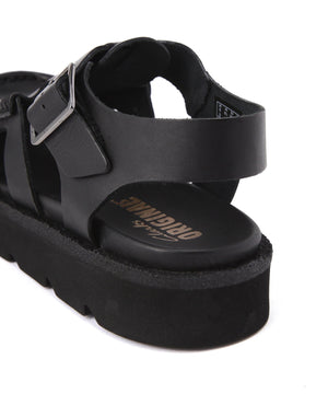 9e553497-d5ef-599c-bd51-6b72cf23e38a_Image