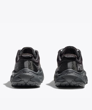 a325449c-5f6f-568e-ba53-6e91663bd7b7_Image