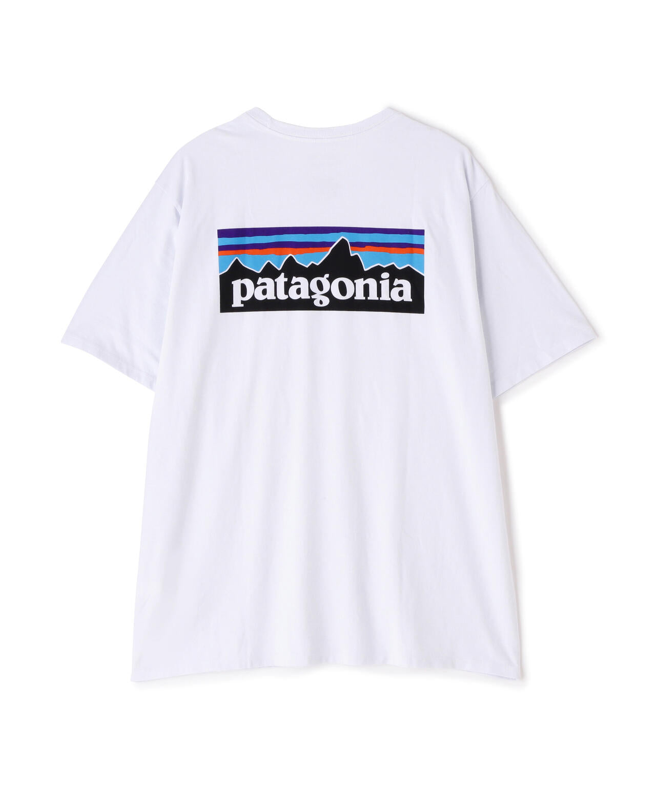Patagonia/パタゴニア　メンズ・P-6ロゴ・レスポンシビリティー