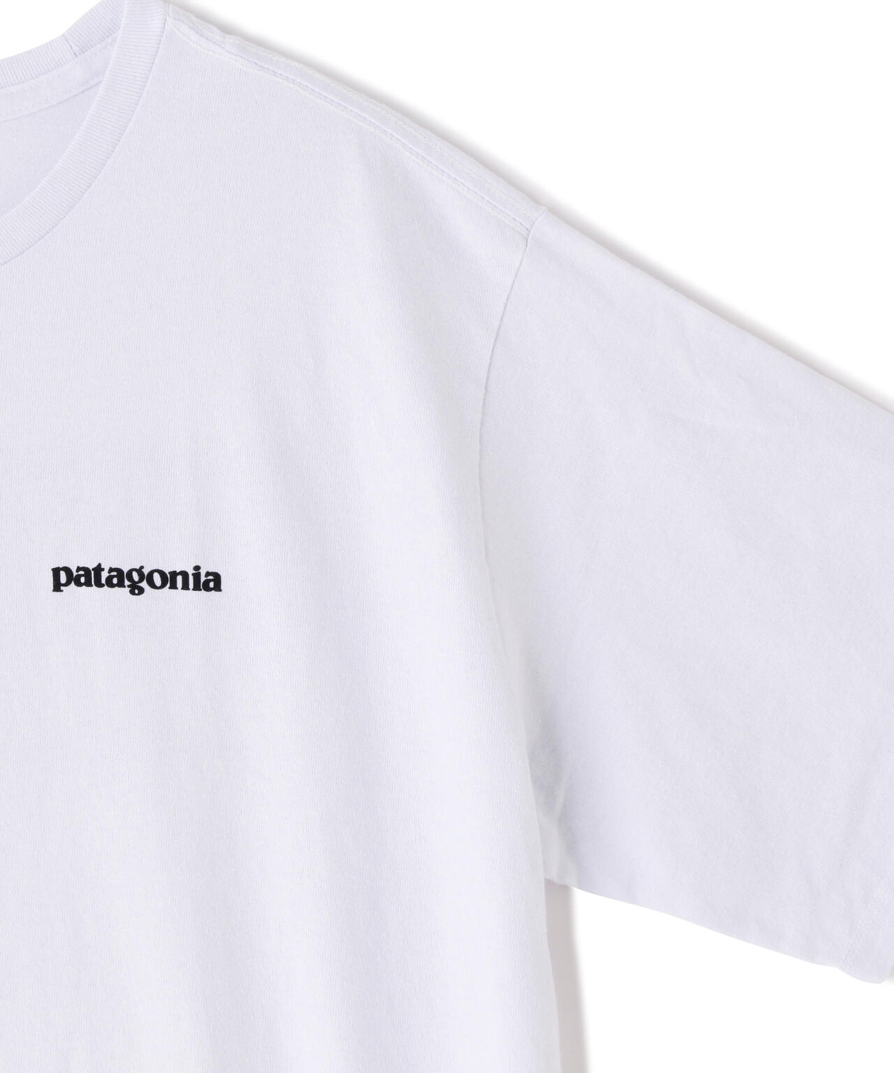 Patagonia/パタゴニア　メンズ・P-6ロゴ・レスポンシビリティー