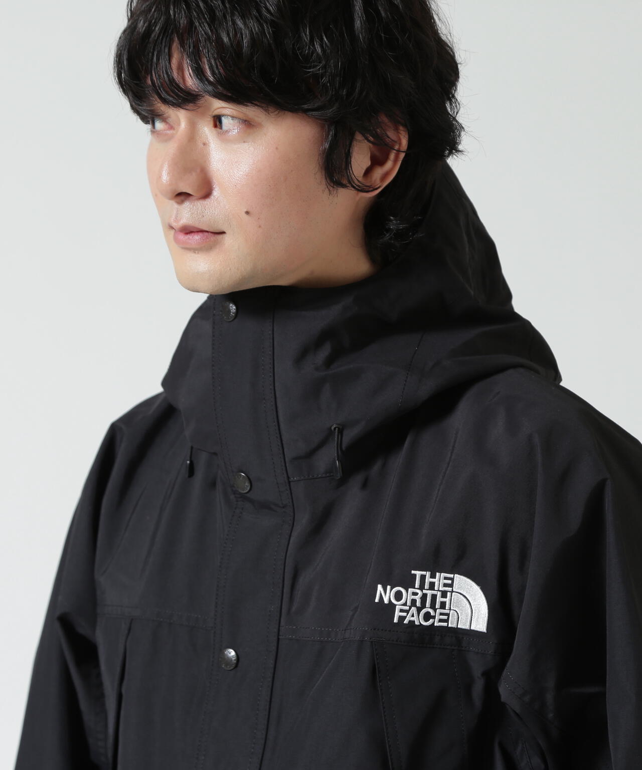 THE NORTH FACE /ザ・ノース・フェイス Mountain Light Jacket