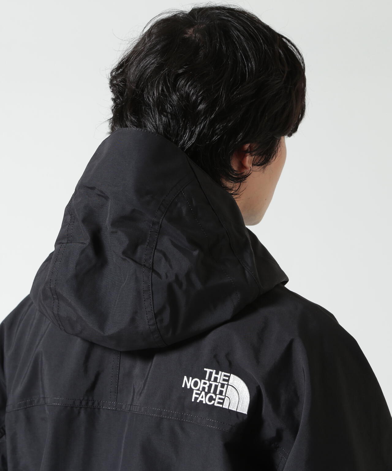 THE NORTH FACE /ザ・ノース・フェイス Mountain Light Jacket