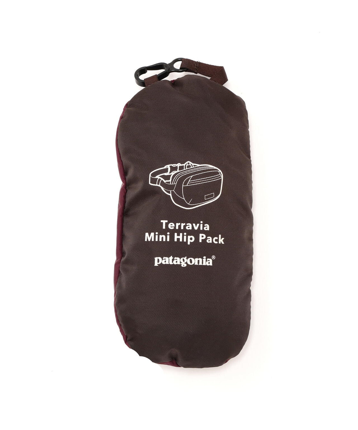 Patagonia/パタゴニア　テラヴィア・ミニ・ヒップ・パック 1L　49448