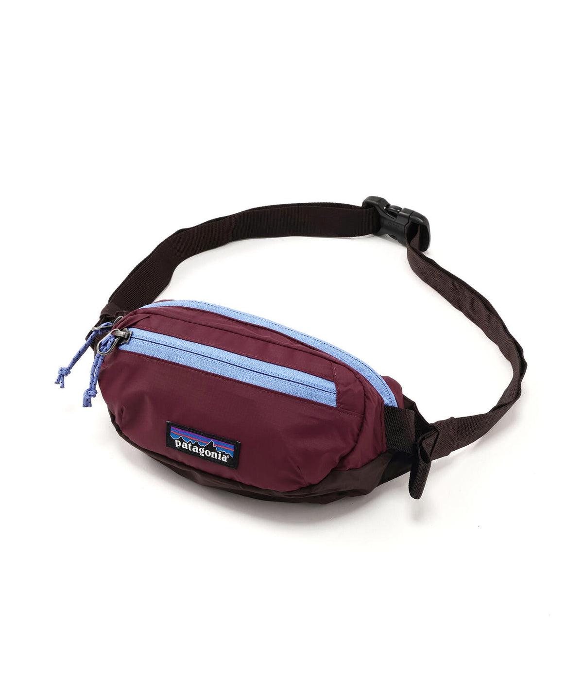Patagonia/パタゴニア　テラヴィア・ミニ・ヒップ・パック 1L　49448
