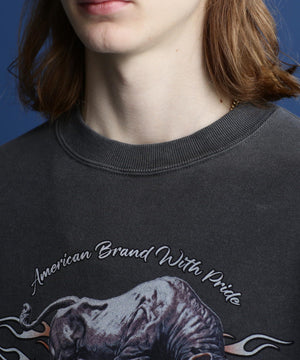 0f0f7aa6-0db5-570f-a78a-90dcbe473160_Image