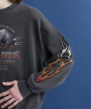 8e48c8f6-9a5a-580c-8bf1-8da9c1134373_Image