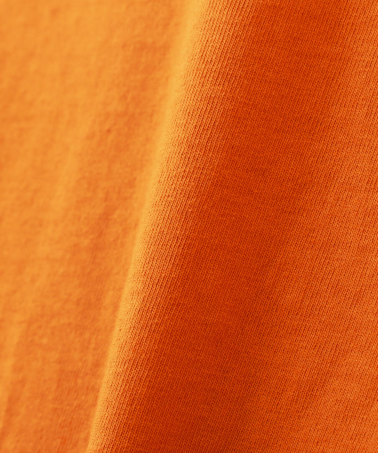 81d0959f-3bb1-5542-9573-aa1be8987bf1_Image