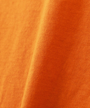 81d0959f-3bb1-5542-9573-aa1be8987bf1_Image