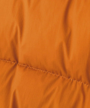 64b09ae0-fb5d-520b-b683-e4abf5cbf491_Image