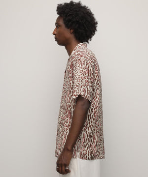 960de878-c892-5e8e-a1cf-c0e028bc89bf_Image