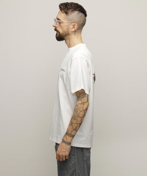 3f81f214-f09c-56c4-9429-0bf1d0d21de8_Image