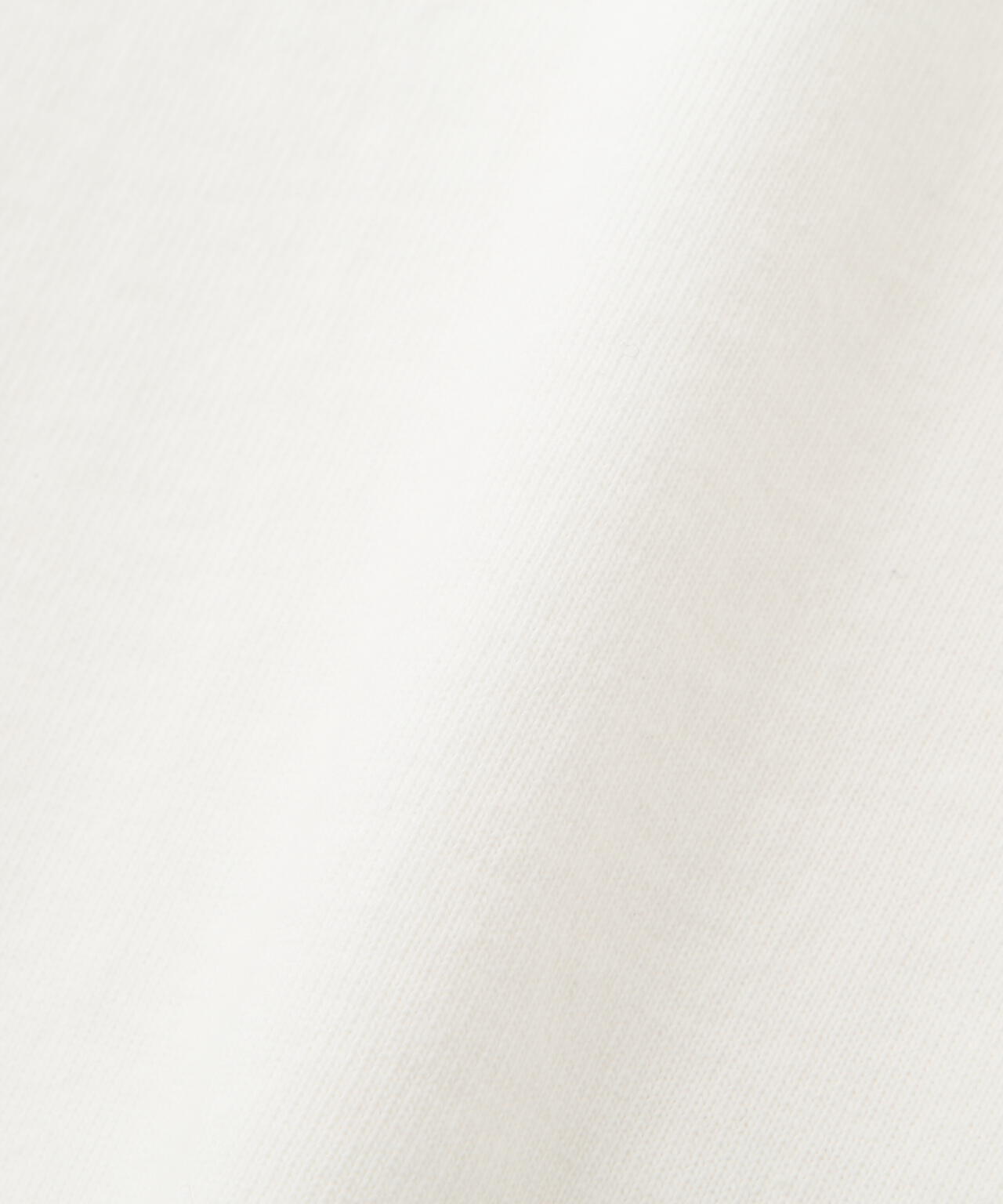 84888d06-004c-5a30-bafa-11f9d2e57358_Image