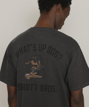 5c7a4ccb-bbc1-5ca0-9062-4f53acfe7af9_Image