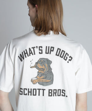 8965a307-c97a-54a2-8104-296f1bf01e83_Image