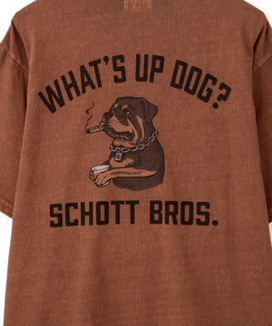 dd774a04-35eb-5ab1-81d5-593528f461ec_Image