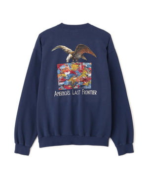 aeafd63e-4cb3-55ca-b8e4-3e76c862ad5b_Image