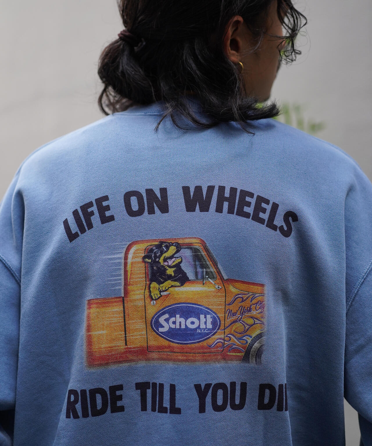 24c27033-319d-5073-9c33-f4f6a5e223eb_Image