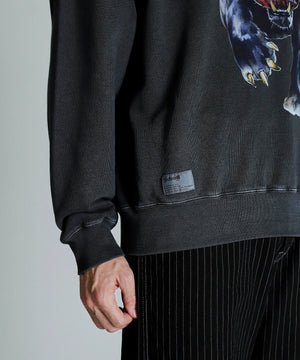 c81773b4-2850-5d76-9e87-6ace59a4e9e0_Image