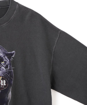 277f1780-6870-5d64-bf56-b5b55f2b5773_Image