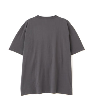 3edf66f6-8be7-5b81-abe2-01982b5b12a7_Image