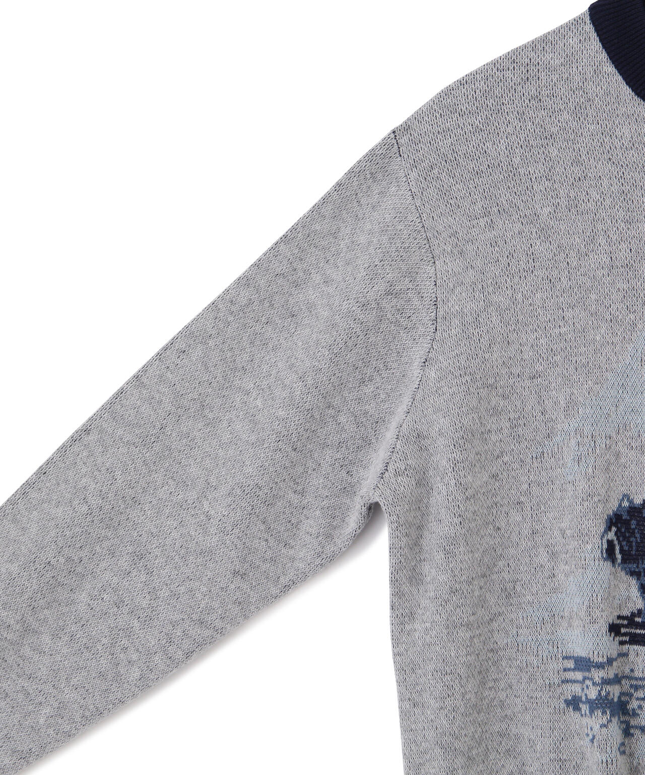 3647d02d-8bc0-581e-8279-1a6dd14d3246_Image