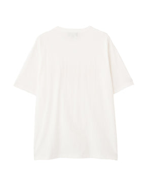 2583e9f3-cecf-57c5-8a01-def0742287b4_Image