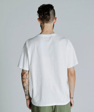 e0747f3c-5ccb-5117-a5d9-8fe7ac3f0944_Image