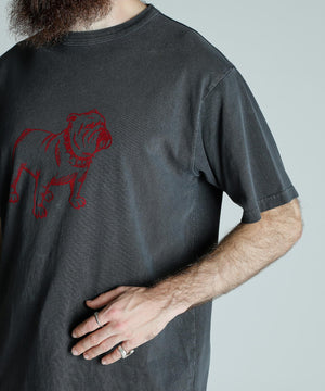 36073e38-620f-5fc6-9ad5-2d3f2694588c_Image