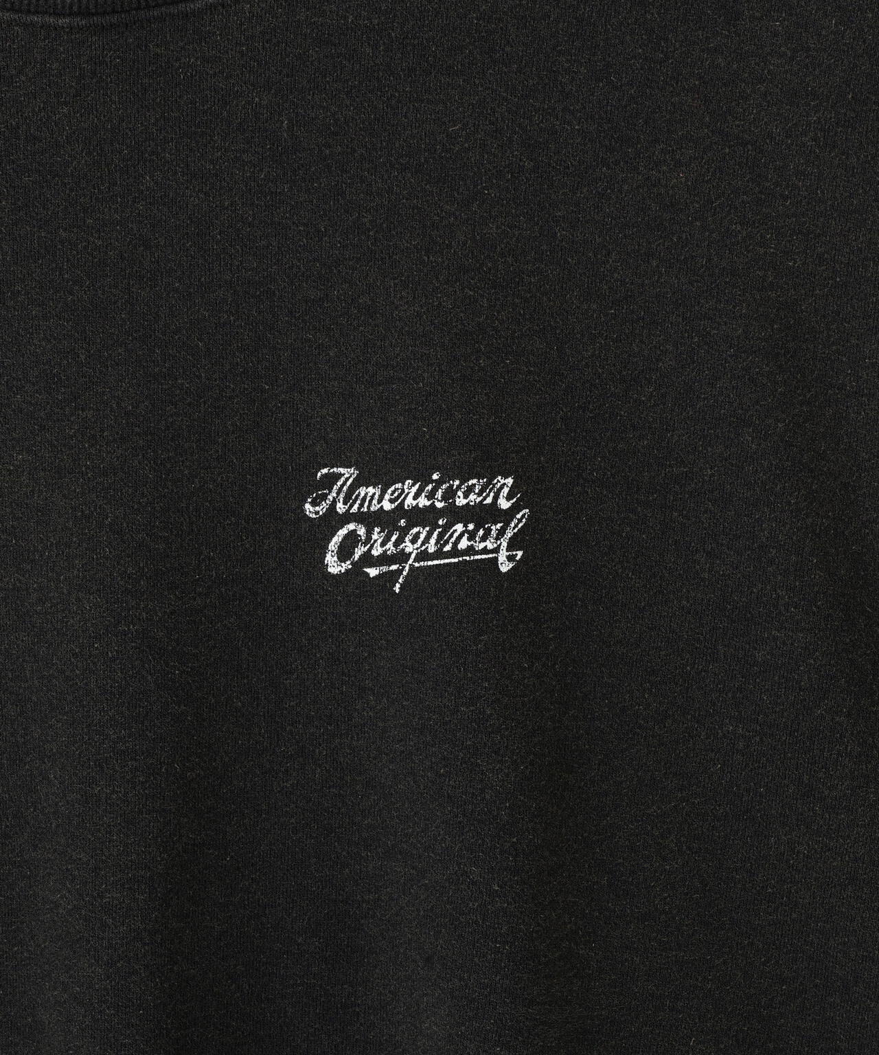 AMERICAN ORIGINAL SNOW WASH CREW SWEAT/アメリカン オリジナル