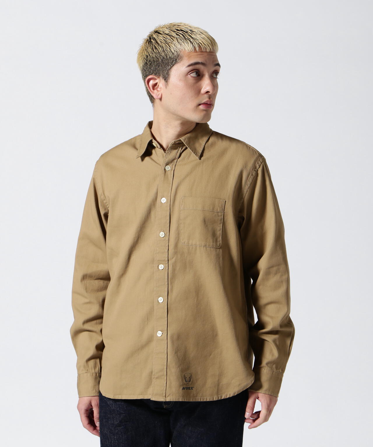 アヴィレックス DAILY TWILL REGULAR SHIRTS 6175109 ポイント10倍！AVIREX アビレックス デイリーウェア 6175109