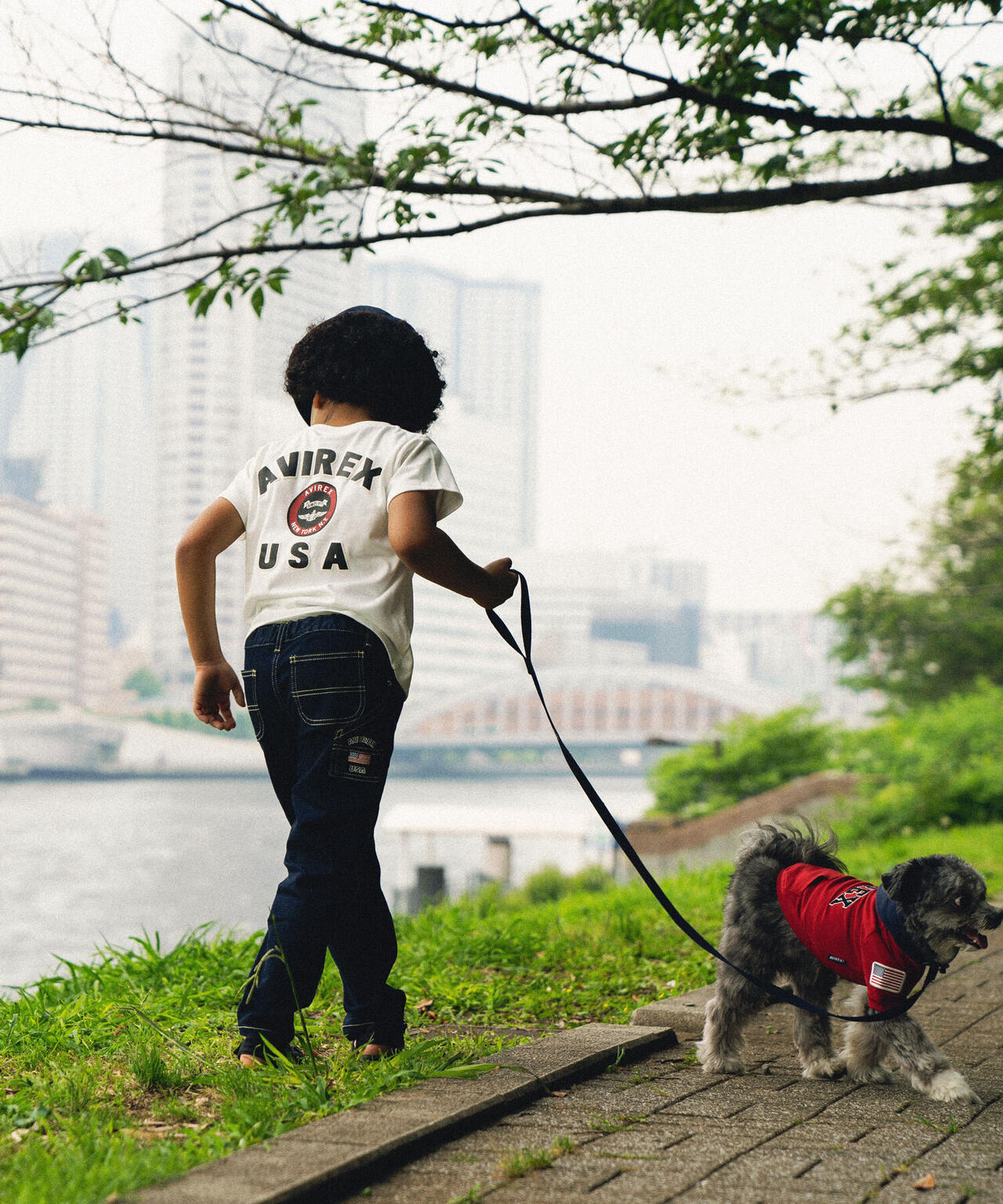 07eed366-0e8b-5c61-8fda-ba7c203c8040_Image