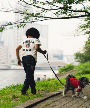 07eed366-0e8b-5c61-8fda-ba7c203c8040_Image