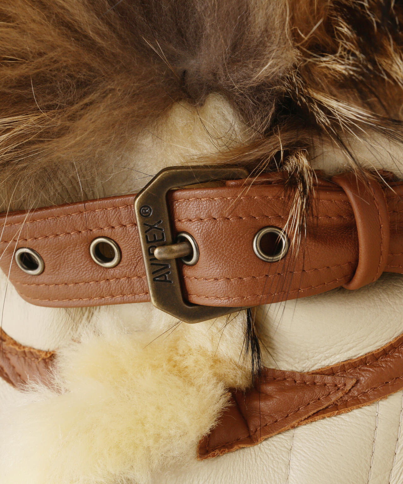 ae7cc18c-a42b-58e0-a27e-aa10fc694605_Image