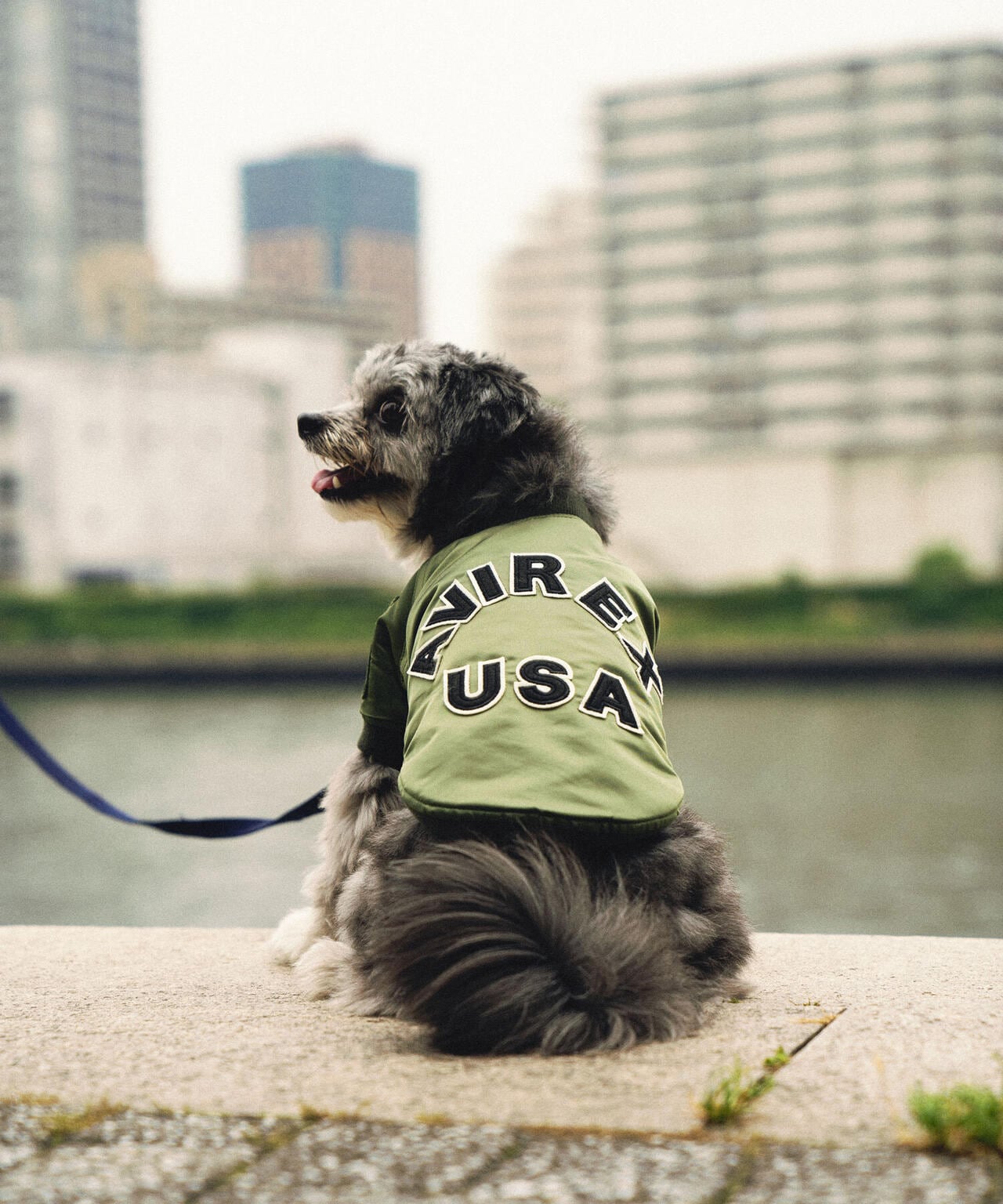 DOG WEAR/ドッグ ウェア》MA-1 LOGO /ドックウェア エムエーワン