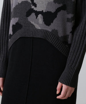 0a994b09-b970-5f13-ae2a-55e063cd4224_Image