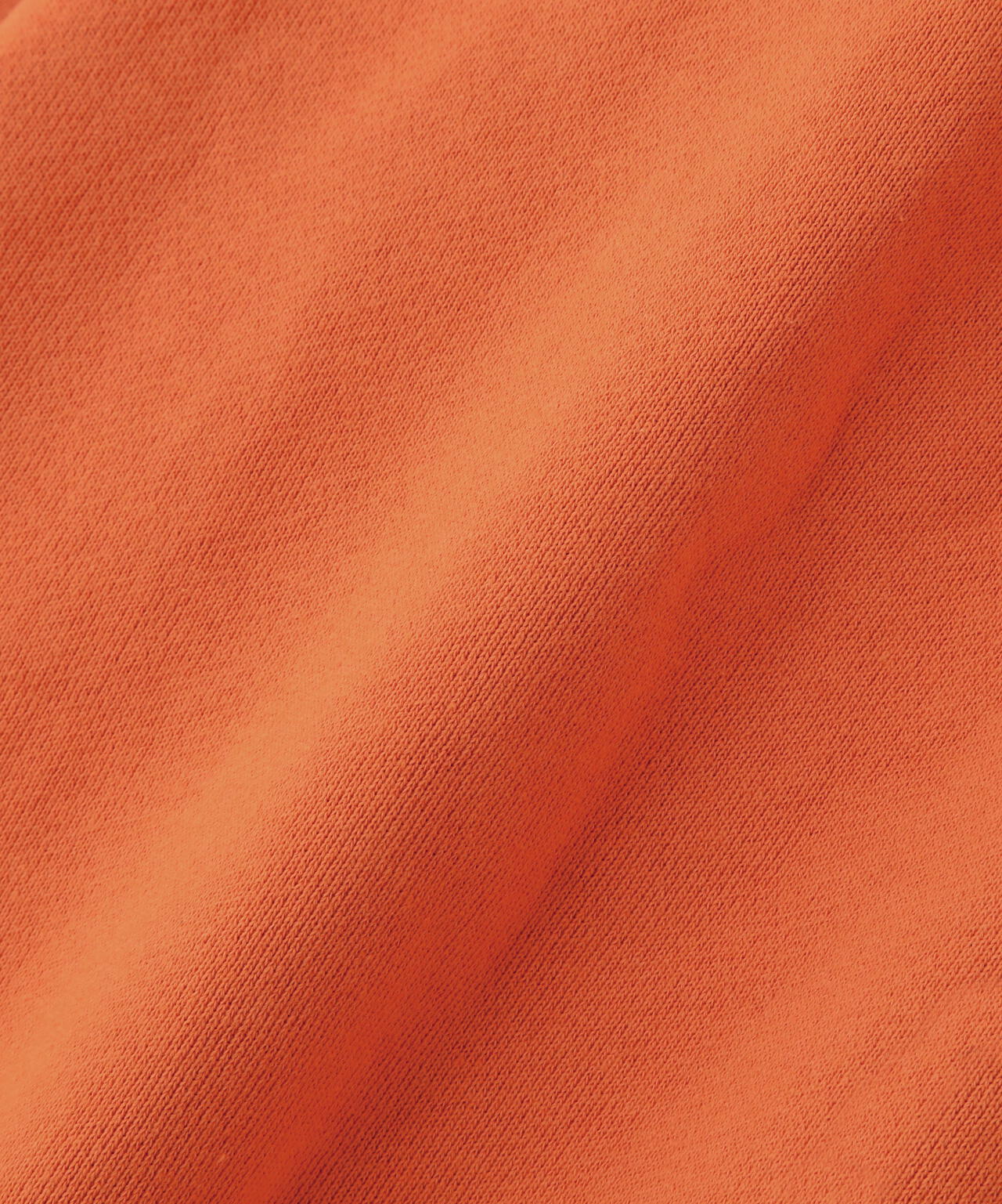 《WEB&DEPOT限定》BLACK SCORPIONS SWEAT PULL OVER PARKA / ブラックスコーピオン スウェット