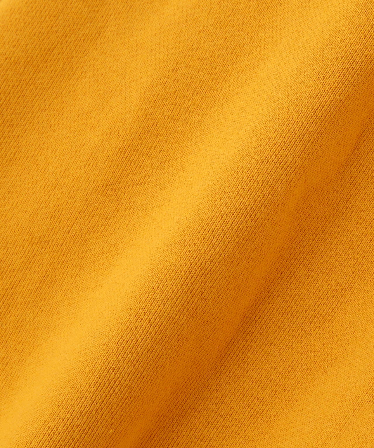 《WEB&DEPOT限定》BLACK SCORPIONS SWEAT PULL OVER PARKA / ブラックスコーピオン スウェット